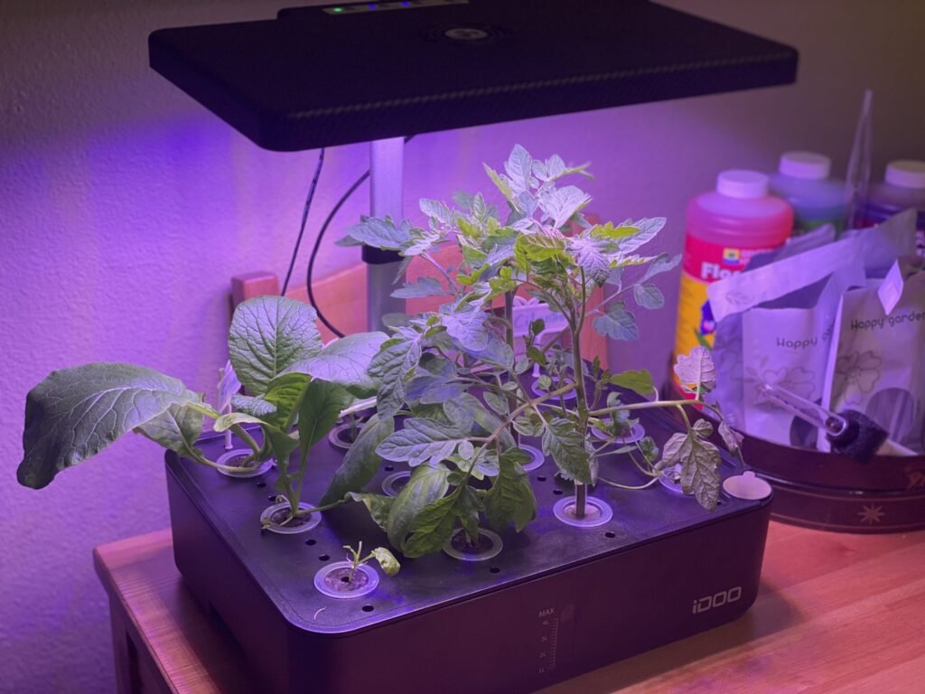 iDOO-growing-scaled